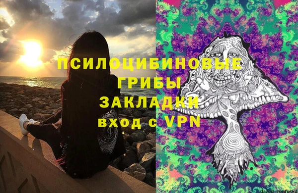 прущие грибы Алексеевка