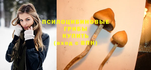 мяу мяу мука Алзамай