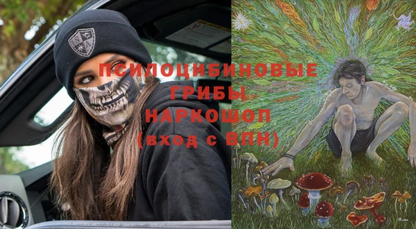 прущие грибы Алексеевка