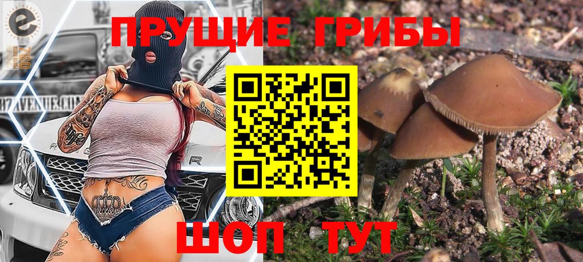 Благодарный  Псилоцибиновые грибы прущие грибы  Вход с VPN 