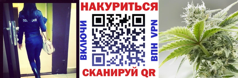 Бошки Шишки тримм  цена   Благодарный 